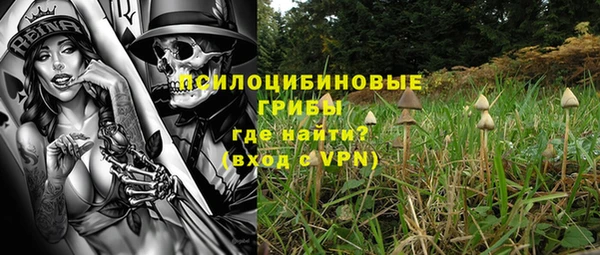 тгк Гусь-Хрустальный