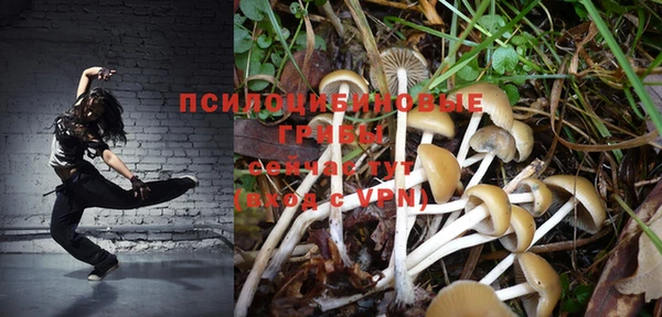 тгк Гусь-Хрустальный