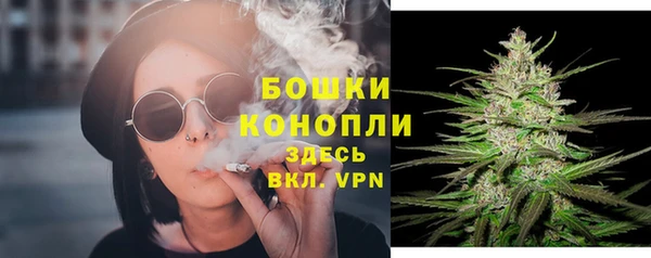 Альфа ПВП Гусиноозёрск