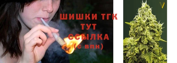 тгк Гусь-Хрустальный