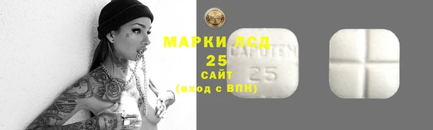 тгк Гусь-Хрустальный