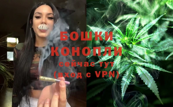 Альфа ПВП Гусиноозёрск