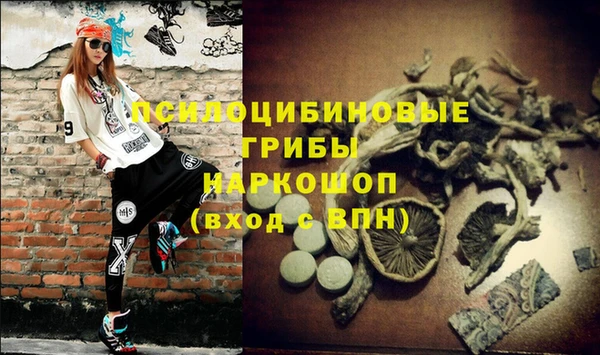 Альфа ПВП Гусиноозёрск