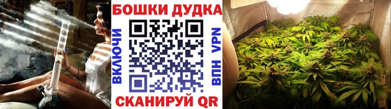 Купить  Кизляр  Бошки Шишки SATIVA & INDICA 
